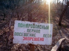 В Томской области введено ограничение доступа в лес