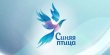 Региональный отбор Всероссийского открытого конкурса юных талантов «Синяя птица»