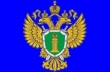 Правительством Российской Федерации введен временный запрет на вывоз семян рапса из Российской Федерации