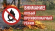 Внимание! Особый противопожарный режим действует на территории всей Томской области! 