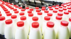 С 1 июля 2019 года меняются правила реализации молочной продукции