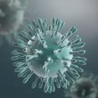 Всё о новой коронавирусной инфекции (COVID-2019)