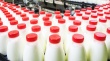 С 1 июля 2019 года меняются правила реализации молочной продукции